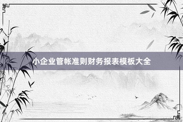小企业管帐准则财务报表模板大全